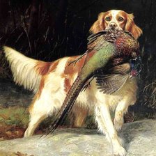 Схема вышивки «№2163796»