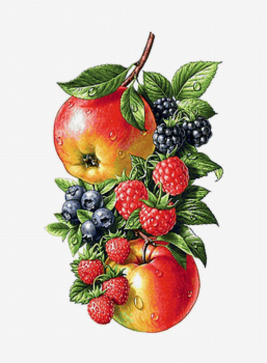 ягоды - на кухню, ягоды, яблоки - предпросмотр