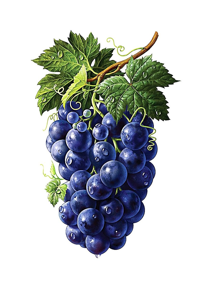 виноград - виноград, ягоды - оригинал