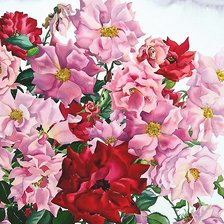 Схема вышивки «Розы»