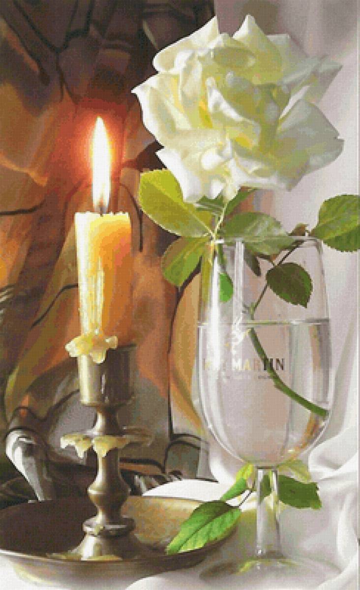 Роза - предпросмотр