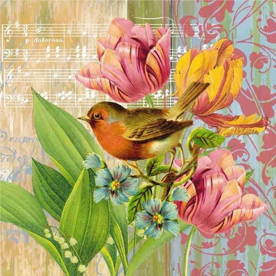 Collage - птицы, цветы - оригинал
