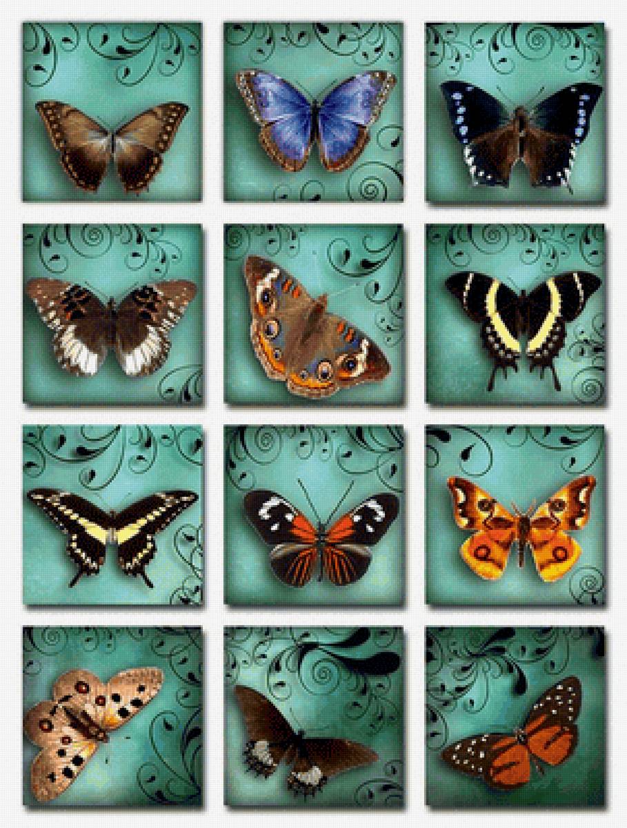 Collage - бабочки старинные почтовые открытки - предпросмотр