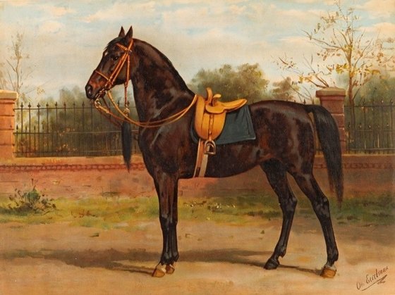 В ожидании всадницы - верховая езда, лошадь, конь, седло - оригинал