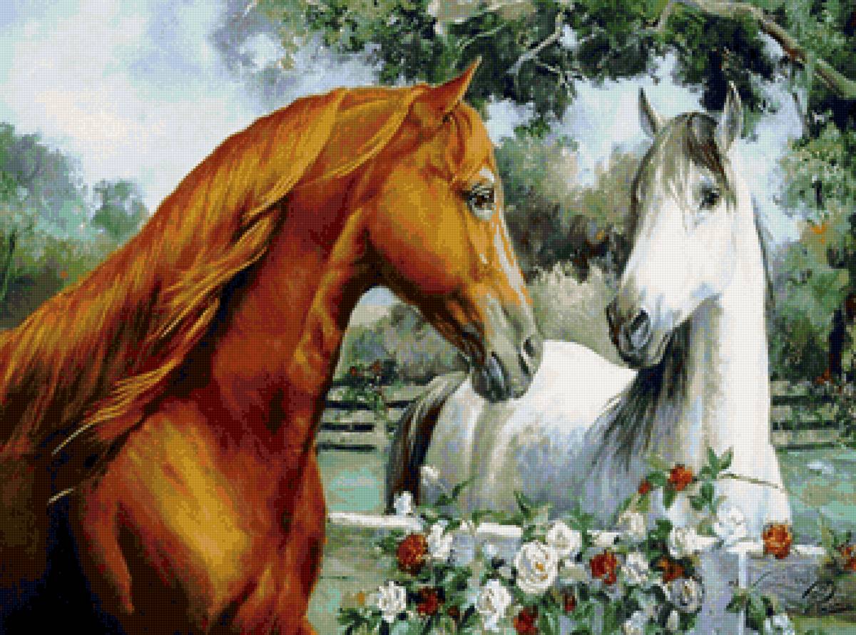 Встреча - лошади, розы - предпросмотр