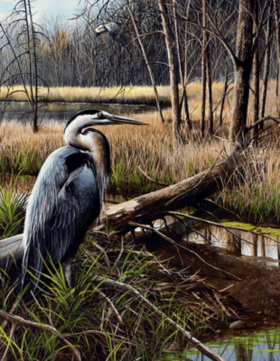 №2164713 - предпросмотр