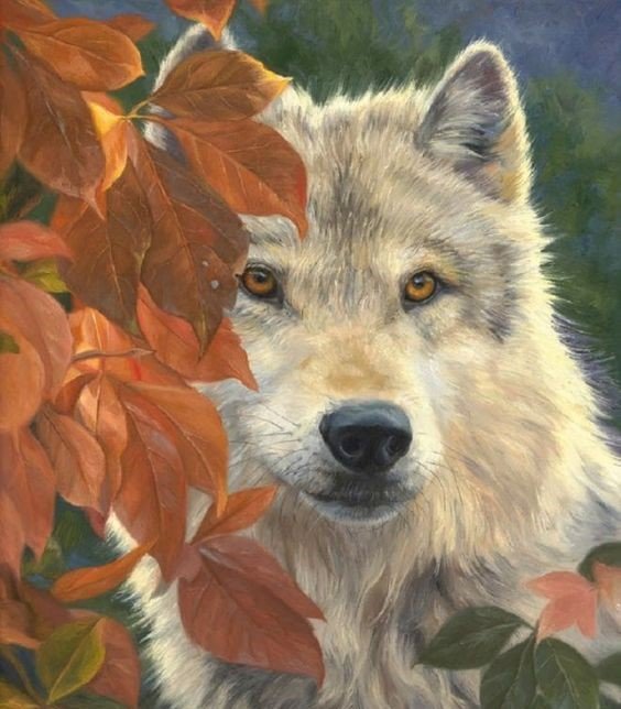 дикие - оригинал