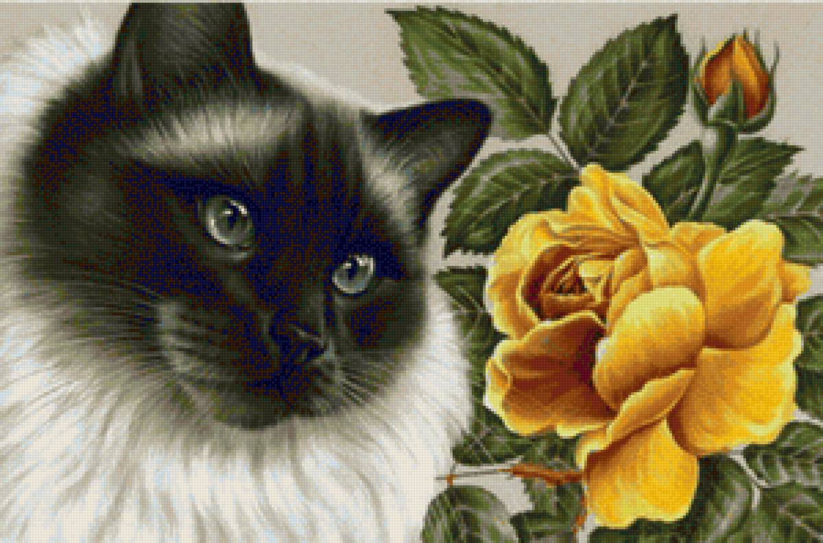 Кошечка и розочка - кот, животные - предпросмотр