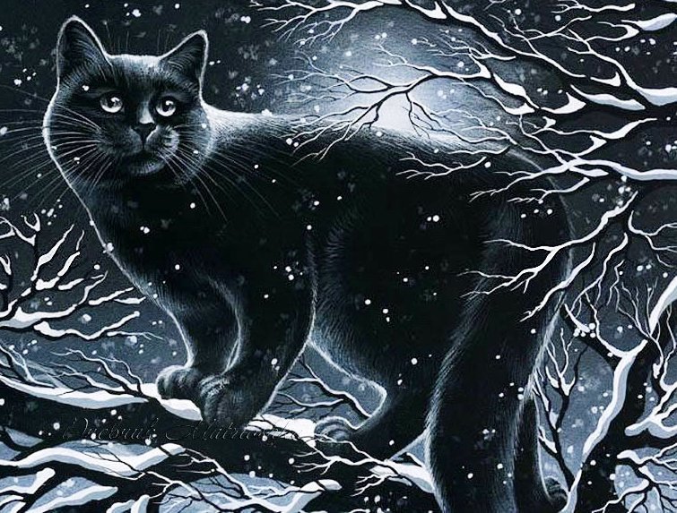 Лунный кот 2 - животные, кот - оригинал