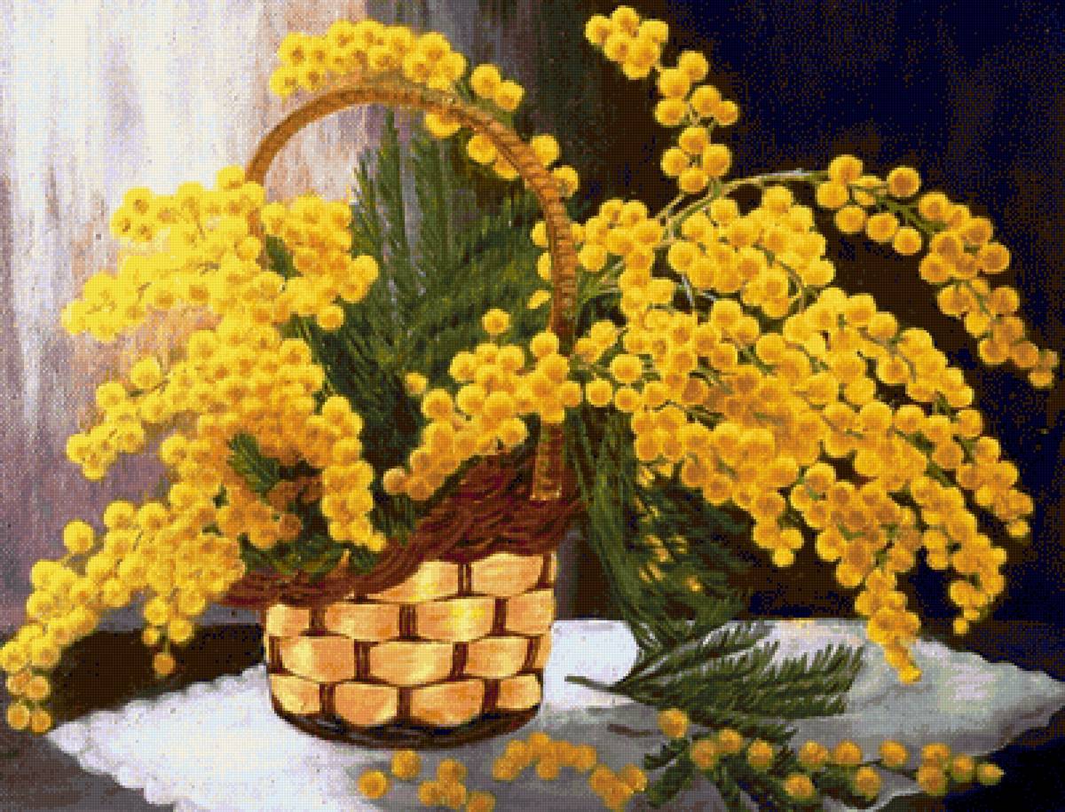 Мимоза - цветы, букет, мимоза - предпросмотр