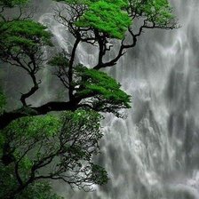 Схема вышивки «На фоне водопада»