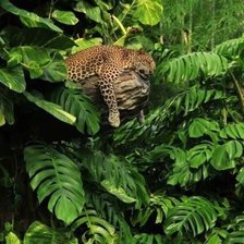 Схема вышивки «Сладкий сон»