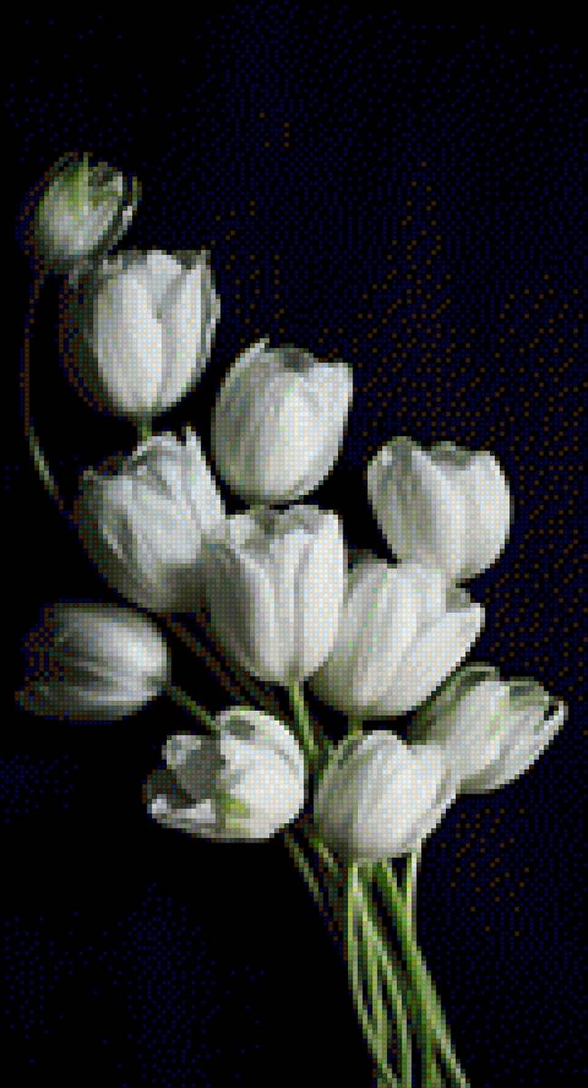 tulipas - flores - предпросмотр