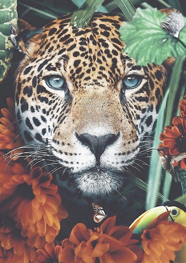 №2165471 - дикие животные - оригинал