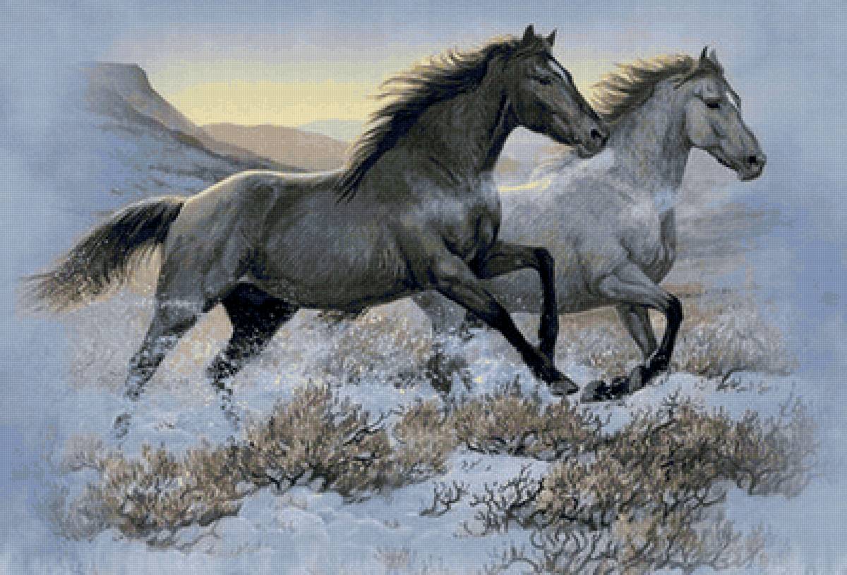 лошади - предпросмотр