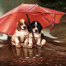 Perros bajo el paraguas