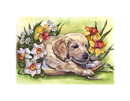 щенок - оригинал