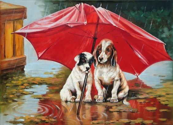 Perros bajo el paraguas 4 - animales - оригинал