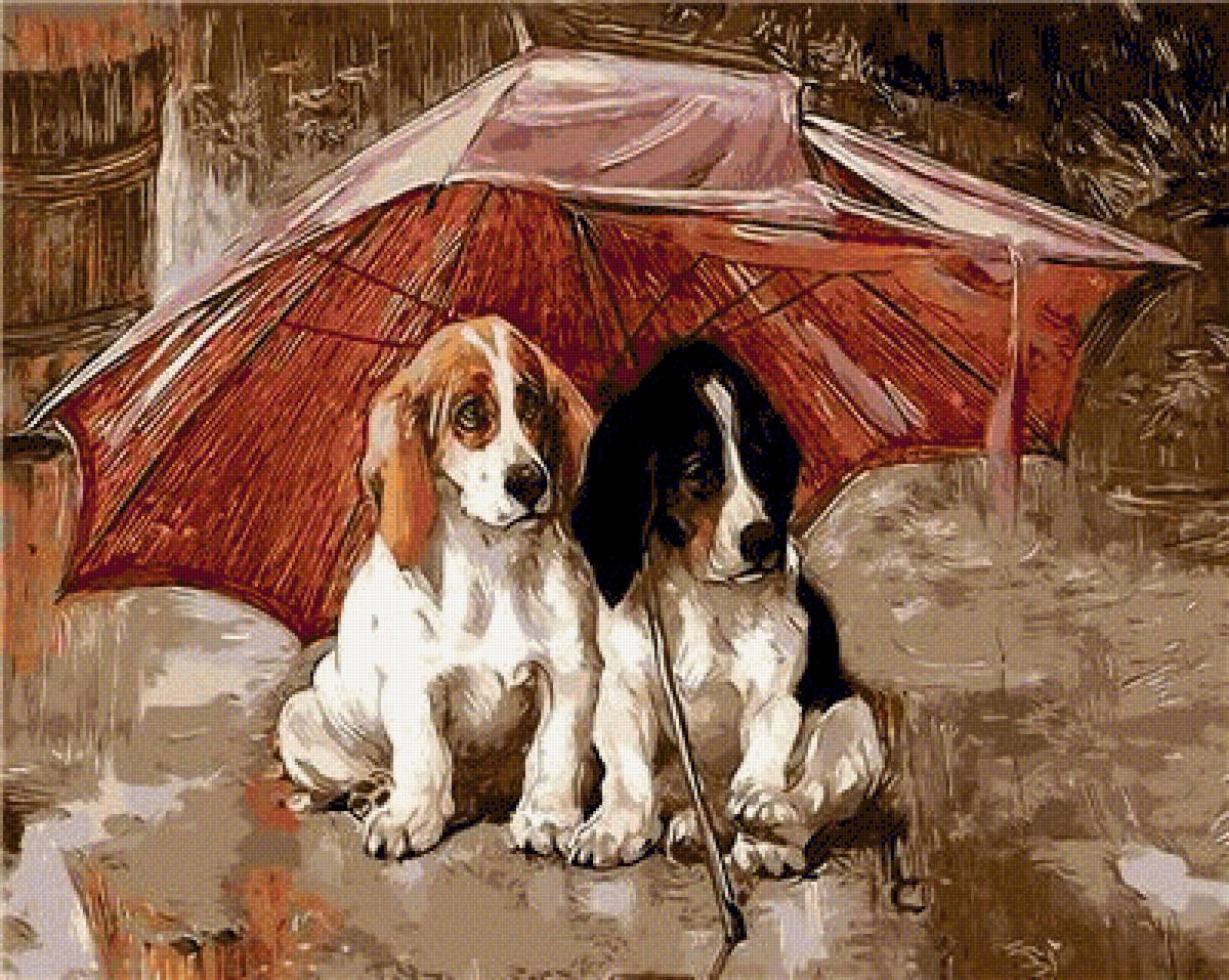 perritos bajo el paraguas 5 - animales - предпросмотр