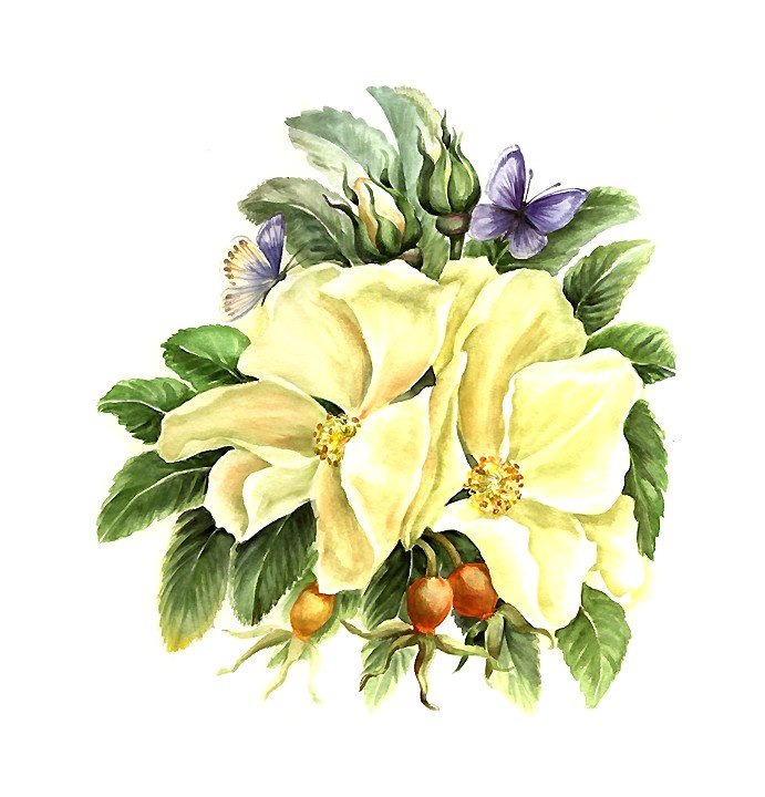 акварель - оригинал