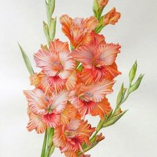 Схема вышивки «цветы»