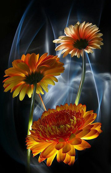 Игра света - оригинал