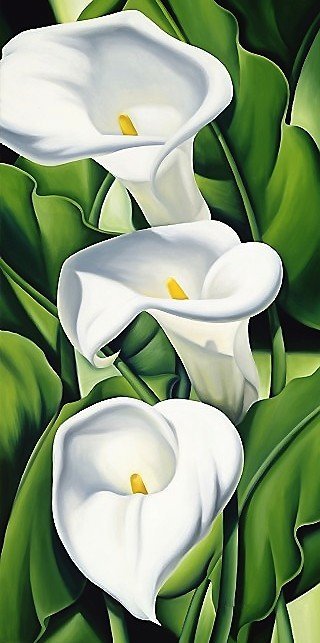 калы - калы, цветы - оригинал