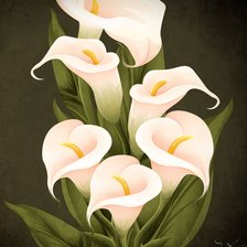 Схема вышивки «каллы»