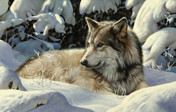 дикие - оригинал