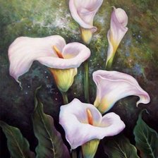 Схема вышивки «каллы»