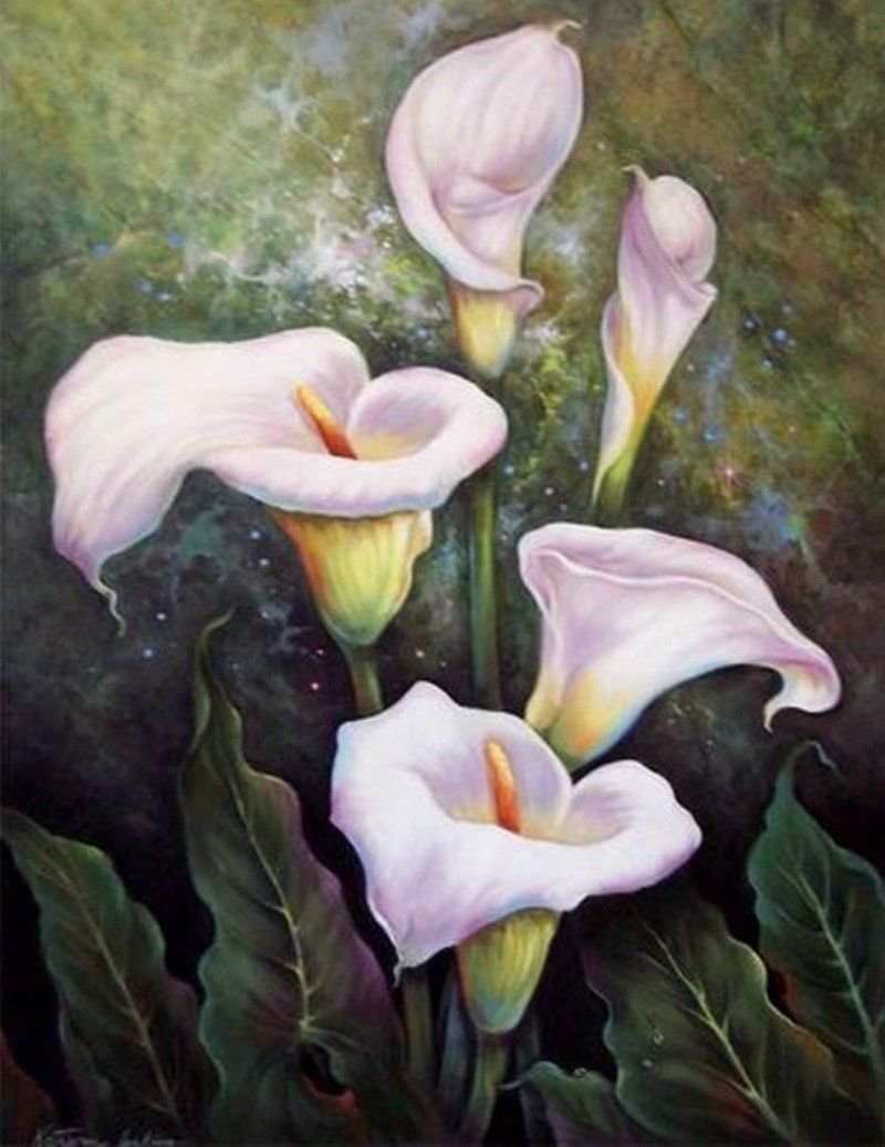 ALCATRACES - оригинал