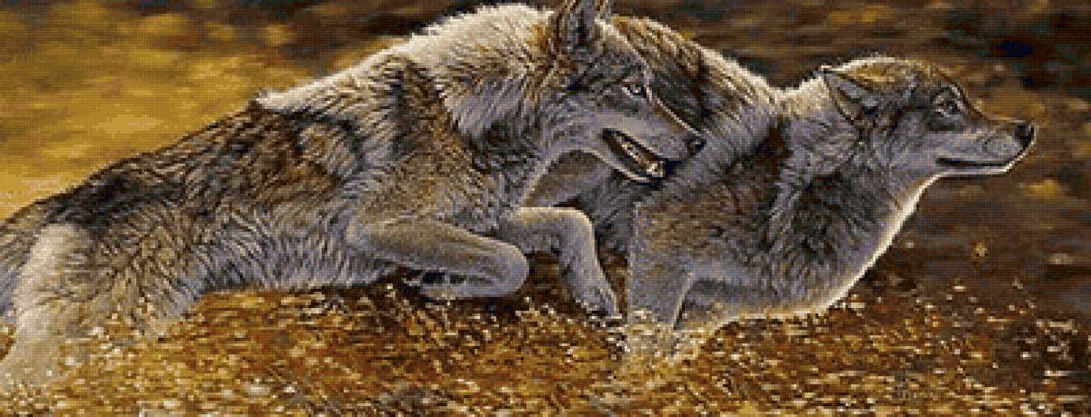 дикие - предпросмотр