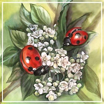 №2166409 - оригинал