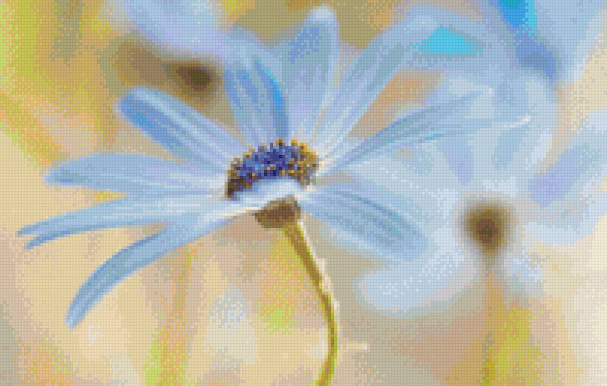 ромашка - предпросмотр