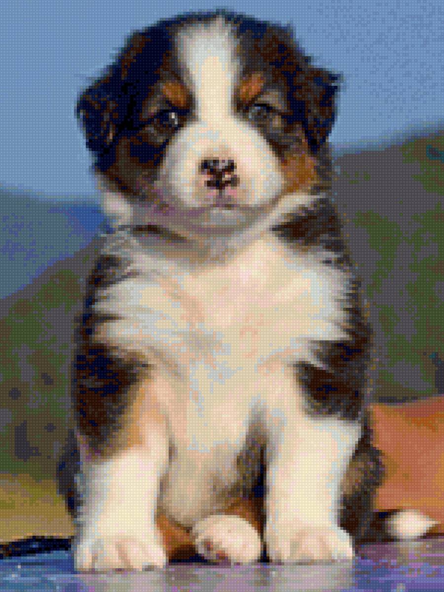 cão - animais - предпросмотр