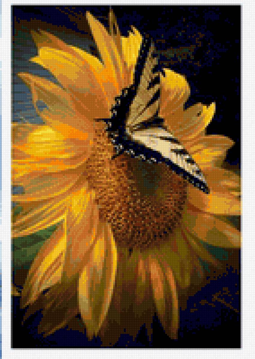 Цветок солнца - цветы, бабочка, разное - предпросмотр