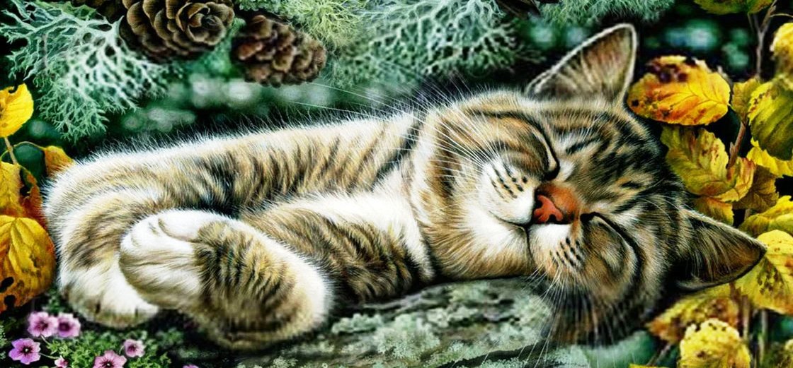 Кошачьи сны....Художник Ирина Гармашова - животные, кот - оригинал