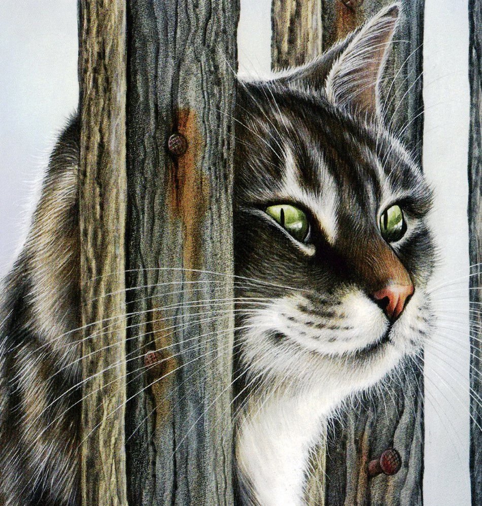 Ах, кошки, кошки... Художник Ирина Гармашова - кот, животные - оригинал