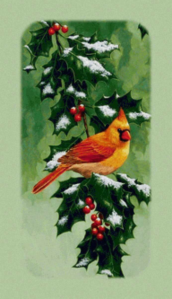 ЩЕГЛЫ, Ч.2 - птицы - предпросмотр