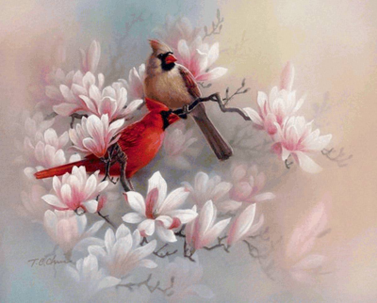 Картины птички с цветами. Тан Чун Чиу художник. Tan Chun chiu картины художник. Цветы Тан Чун Чиу. Художник tan Chun chiu картины цветы.