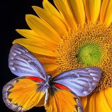 Схема вышивки «№2166952»