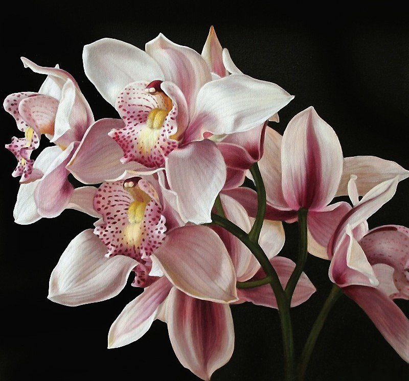 №2166982 - оригинал