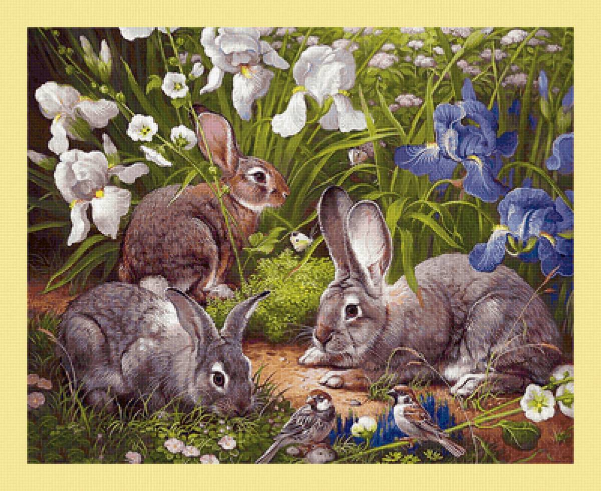 Серия "Зайцы-кролики" - зайцы, животные, кролики - предпросмотр