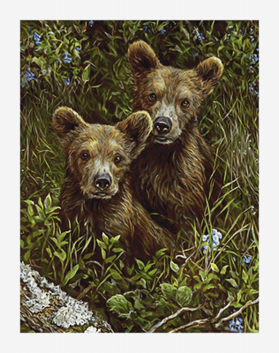 Серия "Медведи" - медведи, животные - предпросмотр