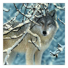 Оригинал схемы вышивки «Волк в зимнем лесу.» (№2167246)