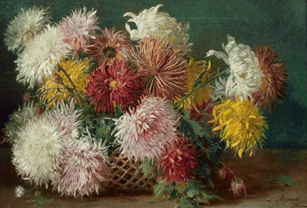 астры - букет - предпросмотр