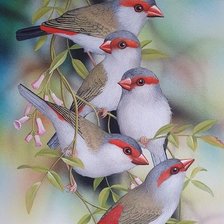 Схема вышивки «птицы»