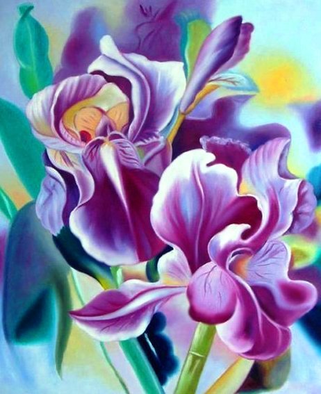 Ирисы - цветы, букет - оригинал