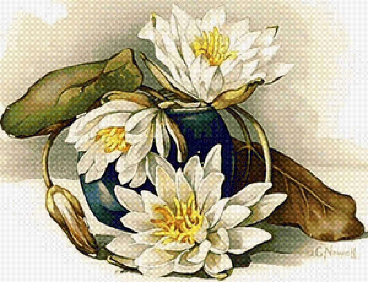 Лилии - цветы, букет - предпросмотр