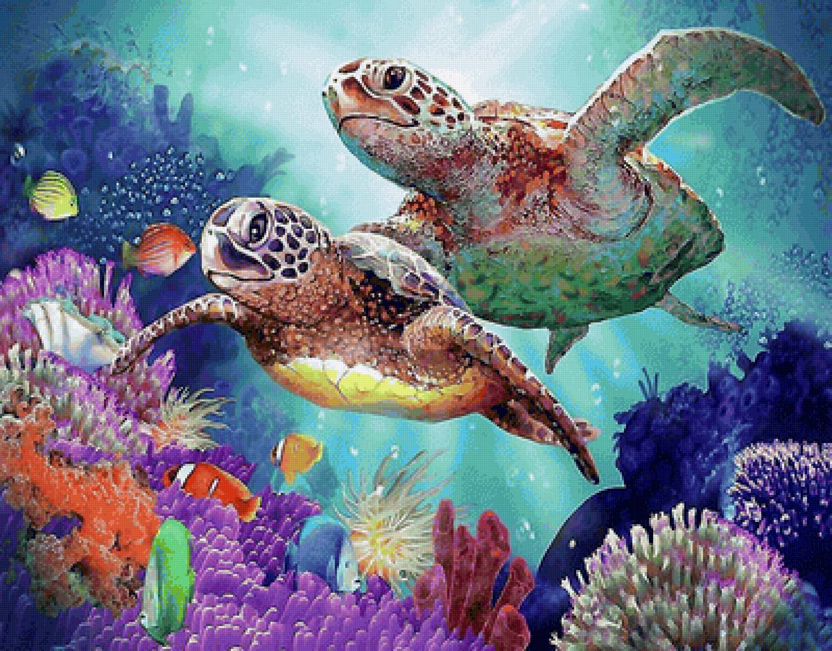 черепахи - черепахи, рыбки, море - предпросмотр
